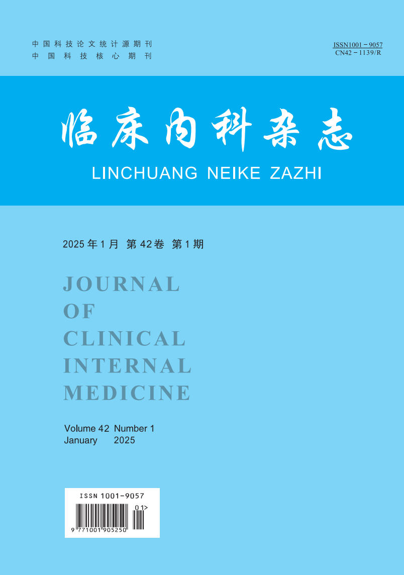 临床内科杂志