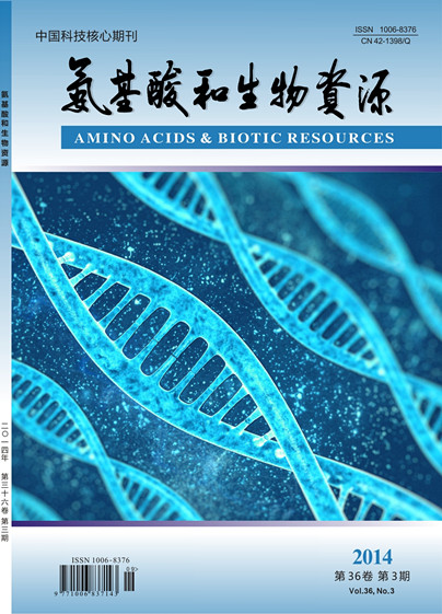 期刊封面图片