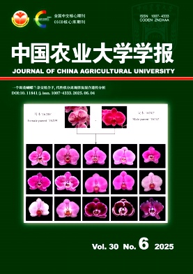 期刊封面图片