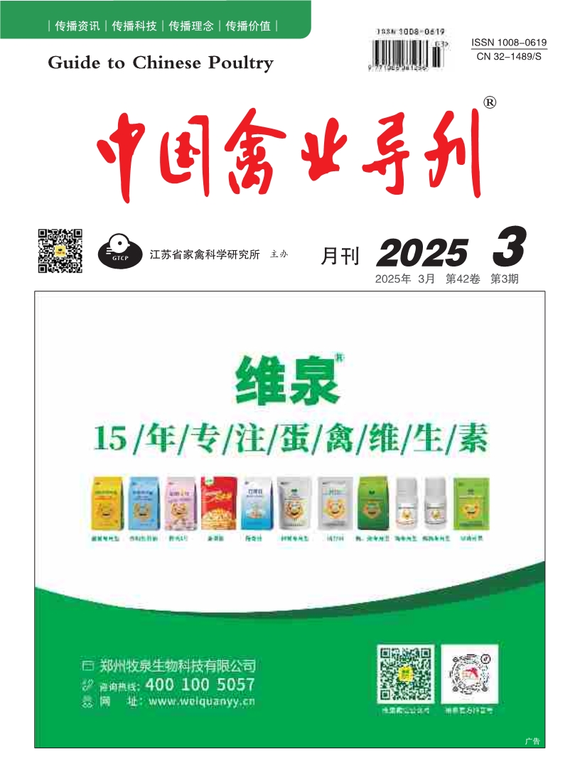 期刊封面图片