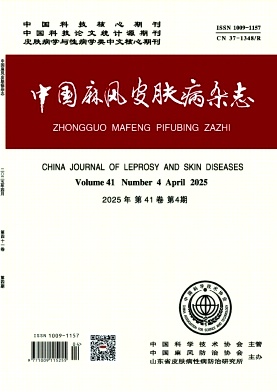 期刊封面图片