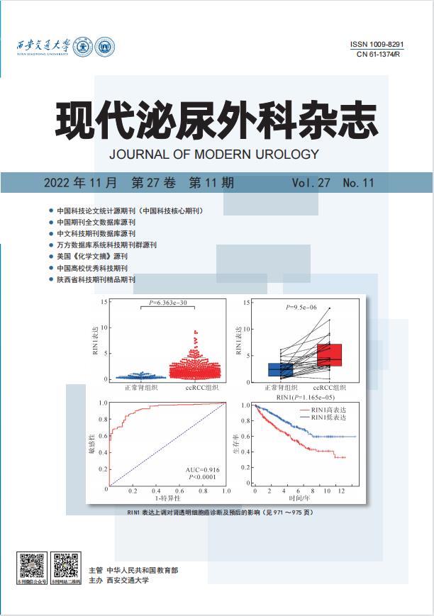 期刊封面图片