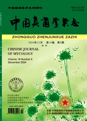 期刊封面图片