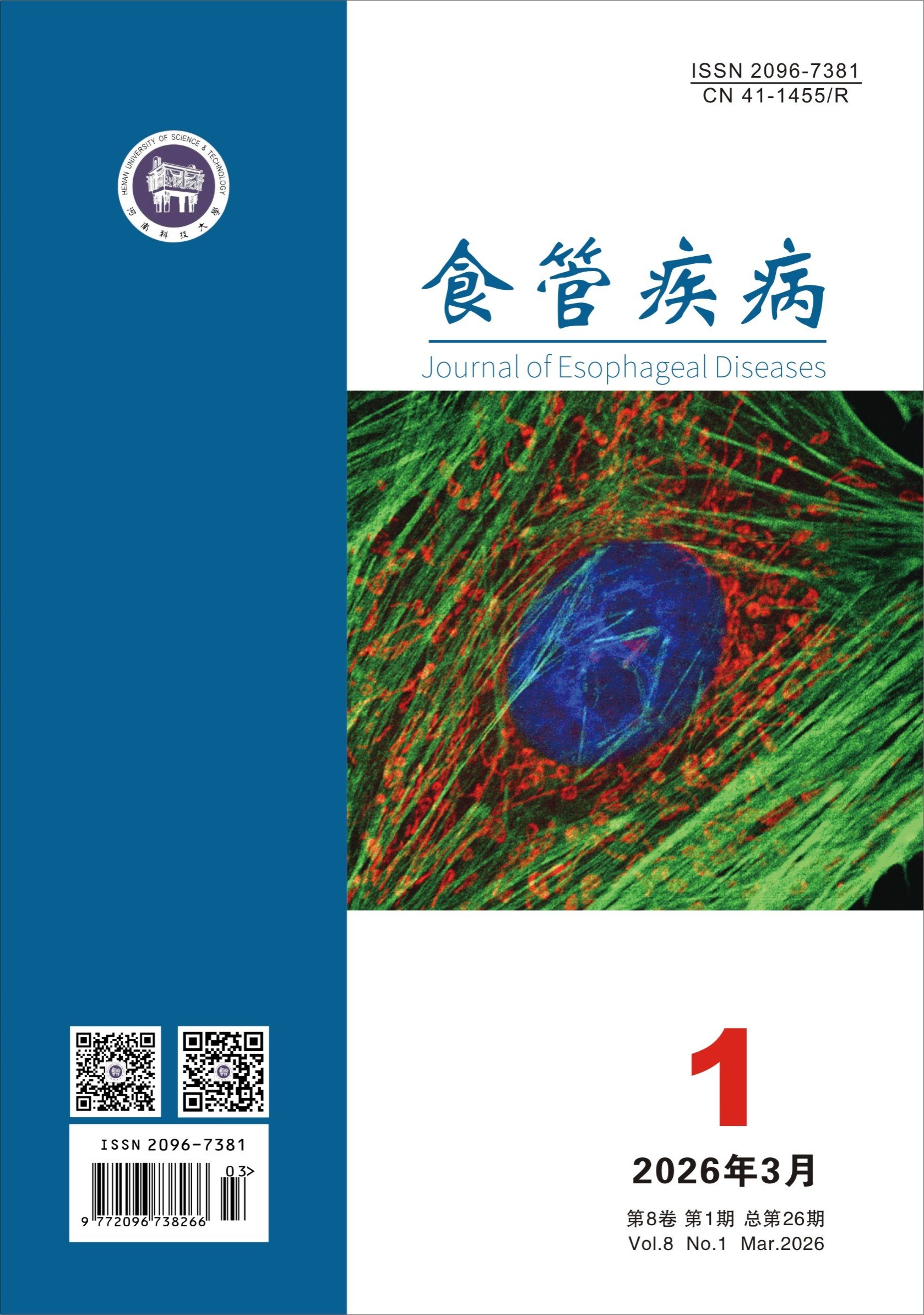 期刊封面图片